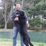 Elite Family and Personal Protection Dog- SIDO
